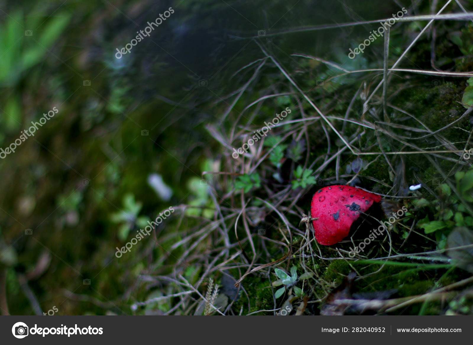 Red Apple Forest — Stock Photo © ImaginechinaTuchong 282040952
