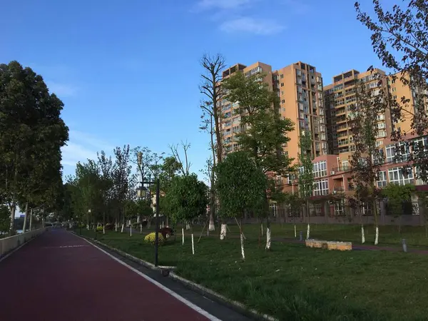 Ciudad Del Parque Verano — Foto de Stock