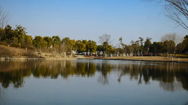 Estanque Parque — Foto de Stock