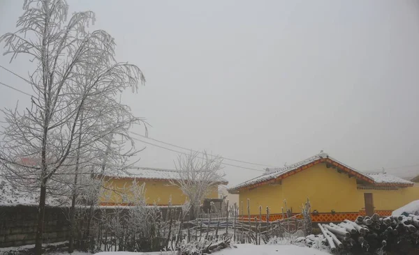 winter landscape with snow and houses