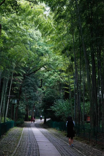 Ιαπωνικός Κήπος Στο Πάρκο — Φωτογραφία Αρχείου