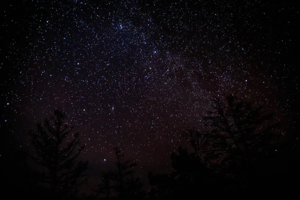 Vía Láctea Estrellas Cielo Galaxia — Foto de Stock