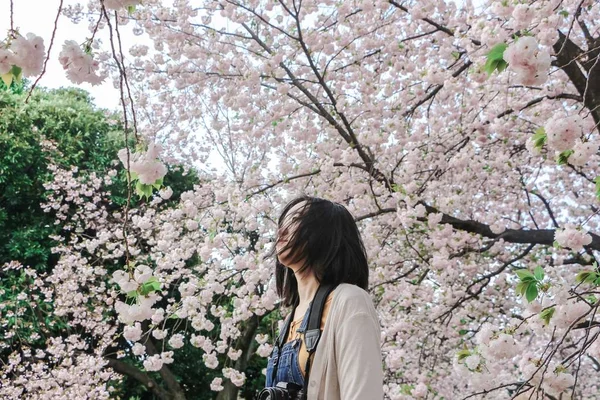 Asiatin Frühling Kirschblütengarten — Stockfoto