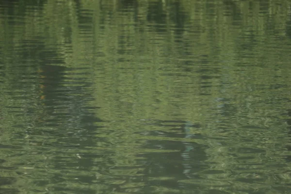 Veden Pinta Heijastus Järvessä — kuvapankkivalokuva