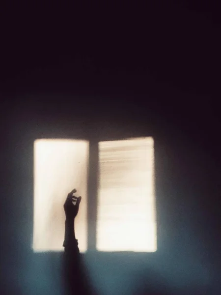 stock image silhouette of a praying man with a book