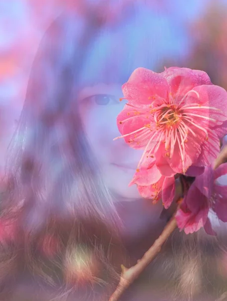 Vue Rapprochée Belle Fleur Rose — Photo