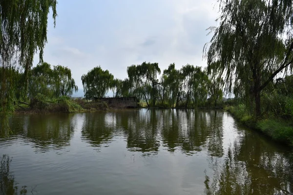 Der Teich Park — Stockfoto