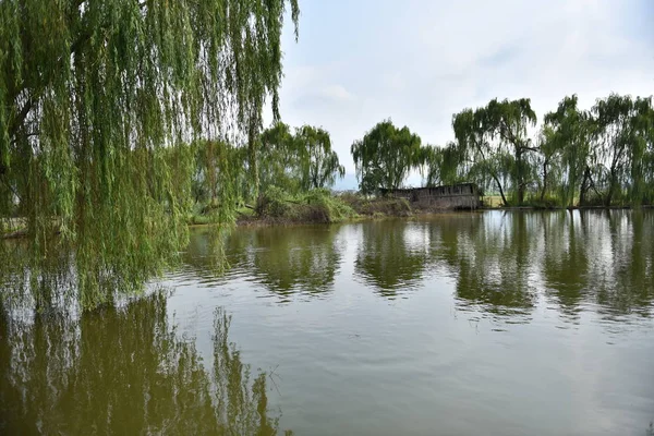 Der Teich Park — Stockfoto