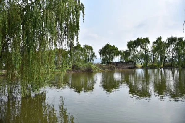 Schöner See Park — Stockfoto