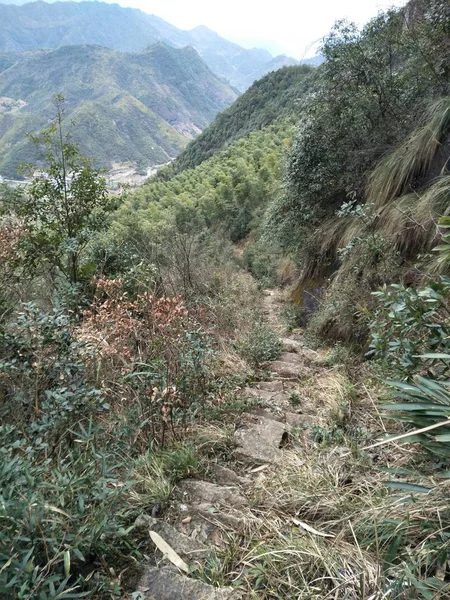 Vista Del Paisaje Montaña — Foto de Stock