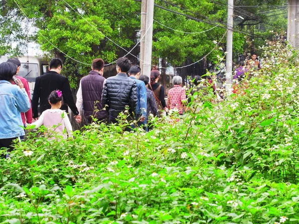 Multitud Personas Parque — Foto de Stock