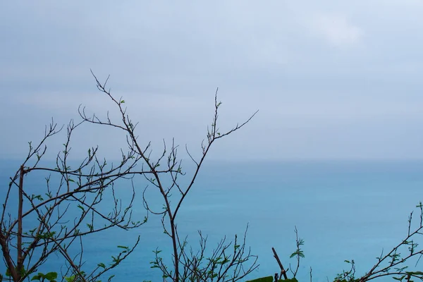 Hermoso Paisaje Con Árbol Cielo Azul — Foto de Stock