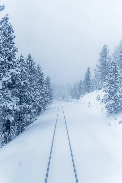 Hermoso Paisaje Invierno Nevado — Foto de Stock