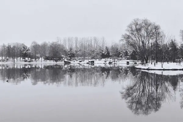 Winter Landscape Snow Covered Trees Reflection — Stock Photo, Image