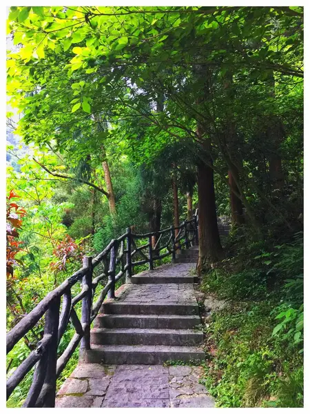 Escaleras Con Camino Parque —  Fotos de Stock