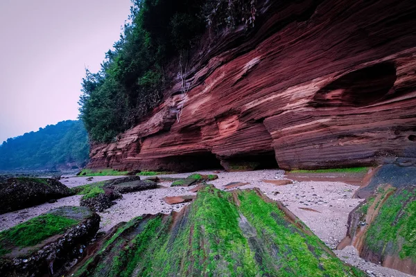 beautiful landscape in the valley of zion national park, utah