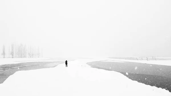 Hombre Mujer Que Caminan Por Los Bosques Nevados Del Invierno — Foto de Stock