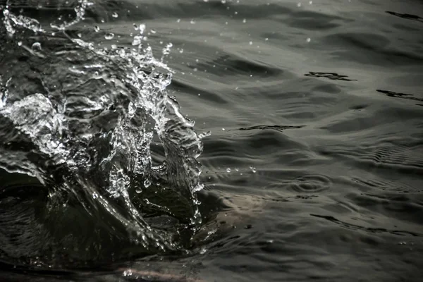 Water Splash Black Background — Stock Photo, Image