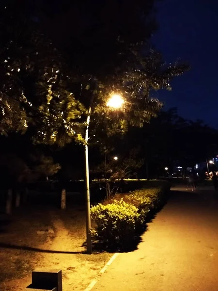 Carretera Nocturna Parque Ciudad — Foto de Stock