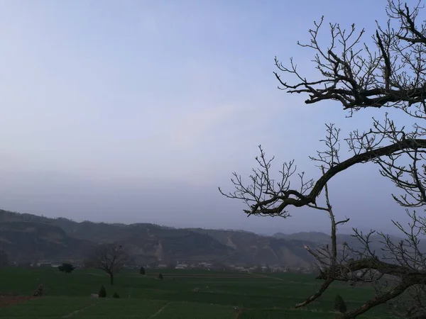 Hermoso Paisaje Con Árbol Gran Árbol — Foto de Stock