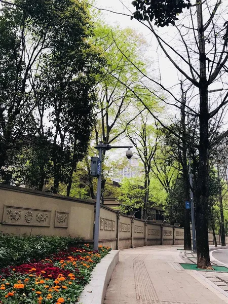 Hermosa Vista Del Parque Ciudad — Foto de Stock