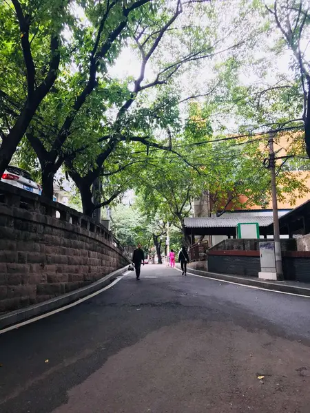 Jardín Japonés Tokyo Japón — Foto de Stock