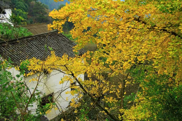 Hermoso Paisaje Otoño Parque — Foto de Stock