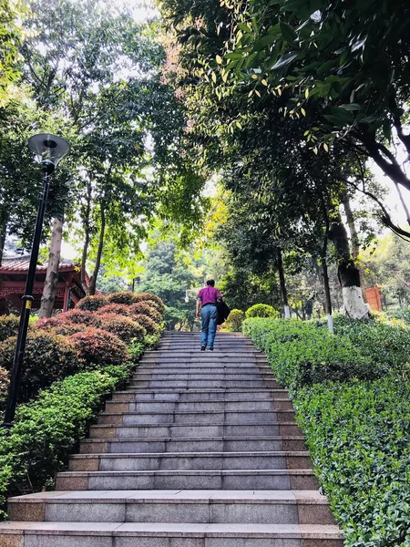 Mujer Caminando Parque Con Una Mochila — Foto de Stock