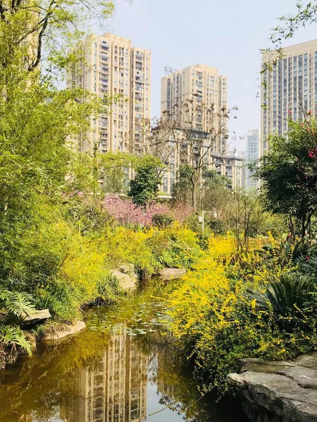 Hermosa Vista Del Parque Ciudad — Foto de Stock