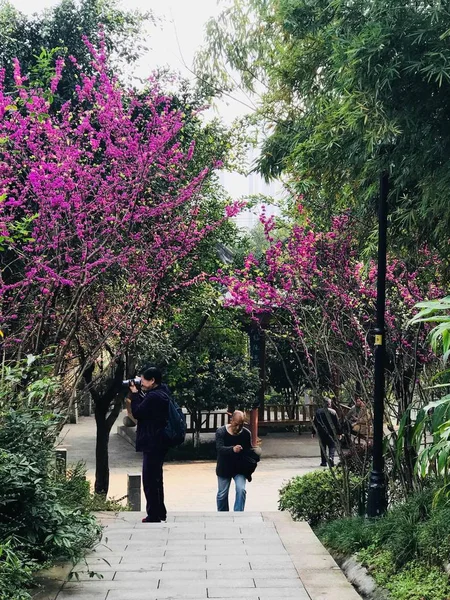 Escena Viaje Tokio Japón — Foto de Stock