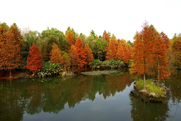 公园里有池塘的秋天风景 — 图库照片