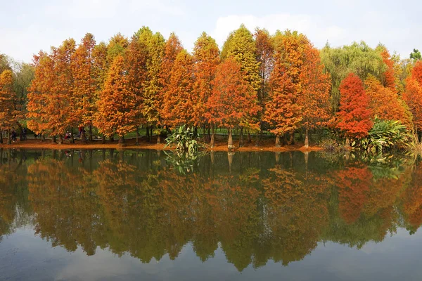 Осенний Пейзаж Озером Осенью — стоковое фото