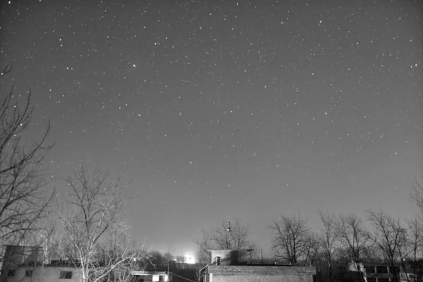 Invierno Noche Paisaje Con Árboles Nieve — Foto de Stock