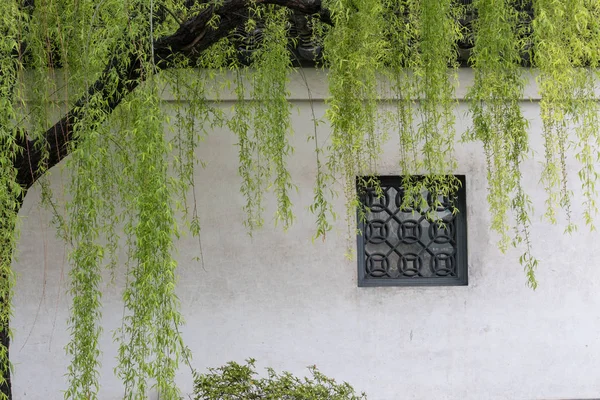 old stone wall in the garden