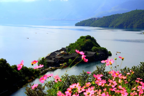 Hermoso Fondo Marino Fondo Naturaleza — Foto de Stock