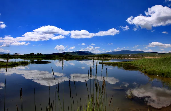 Reflejo Lago Paisaje Verano — Foto de Stock