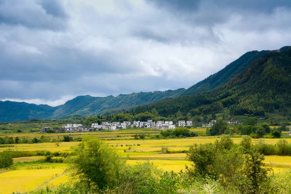 Vista Panorámica Del Hermoso Paisaje Verde — Foto de Stock