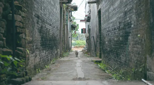 Antigua Calle Ciudad China — Foto de Stock