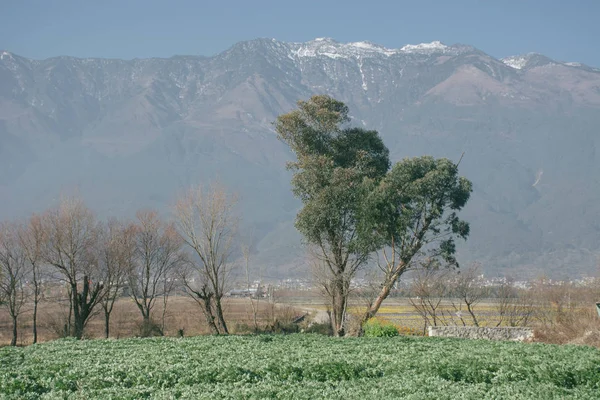 Hermoso Paisaje Las Montañas Del Cáucaso — Foto de Stock