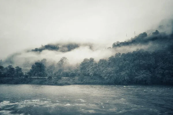 Nebbia Nuvole Nella Foresta — Foto Stock