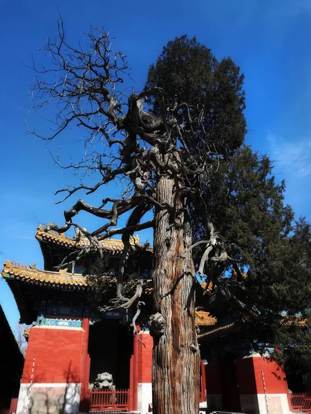 Casco Antiguo Ciudad China — Foto de Stock