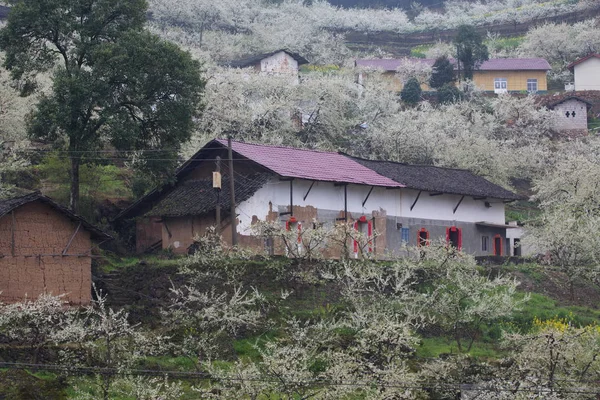 Antigua Casa Pueblo — Foto de Stock