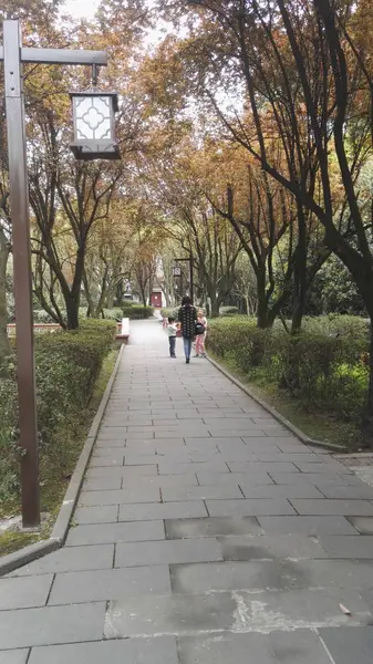 Una Vista Parque Con Banco Ciudad — Foto de Stock