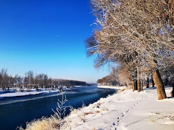 Paisaje Invernal Con Árboles Cubiertos Nieve Parque — Foto de Stock