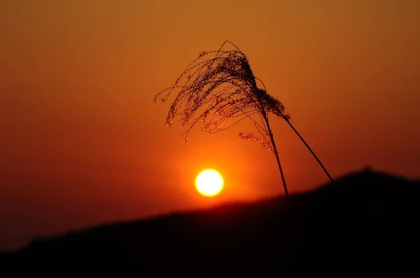 Puesta Sol Sobre Mar — Foto de Stock