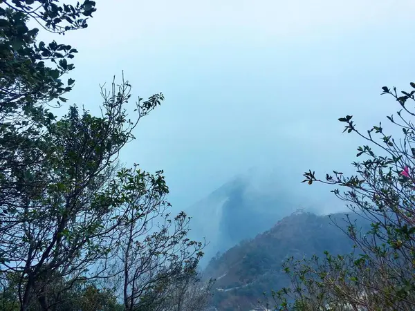 Hermoso Paisaje Con Árboles Nubes — Foto de Stock