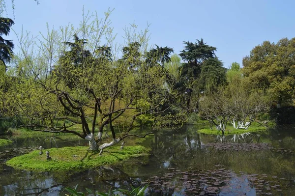 Paisaje Lago Parque — Foto de Stock