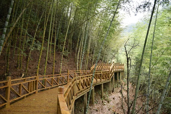 Puente Madera Bosque — Foto de Stock