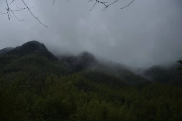 Nevoeiro Montanha Nas Montanhas — Fotografia de Stock