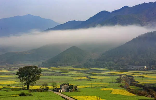 Vista Panorámica Del Hermoso Paisaje Verde — Foto de Stock